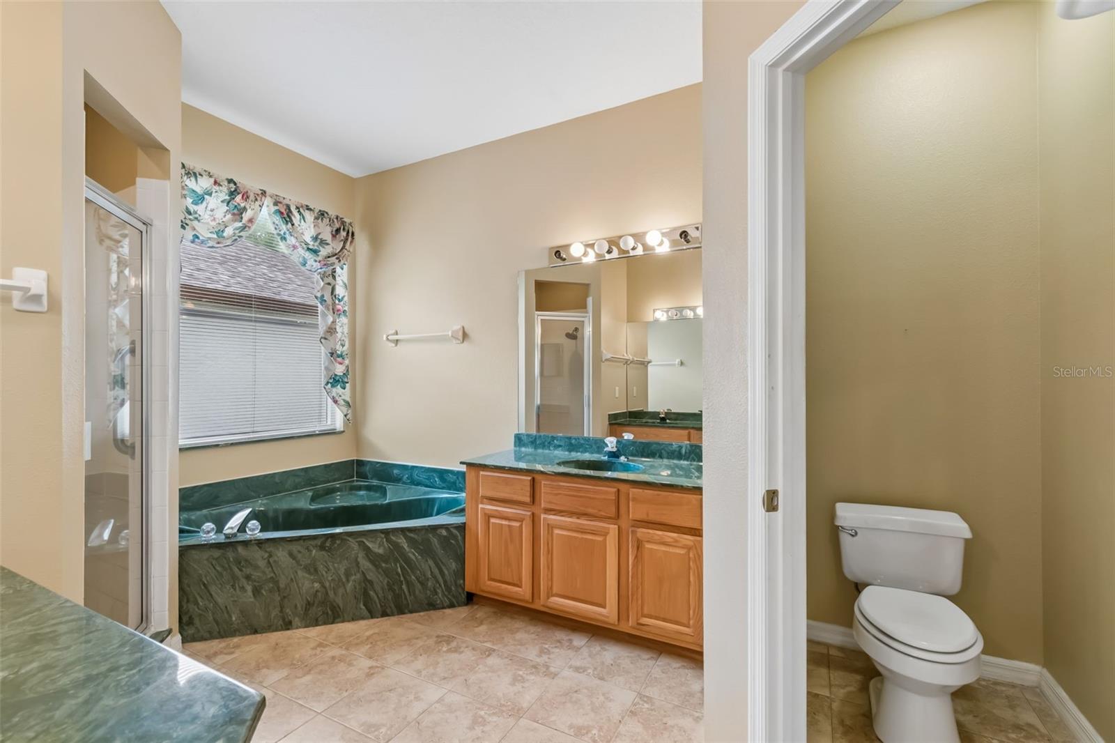 10118 SHORTWOOD LN, ORLANDO, FL, 32836