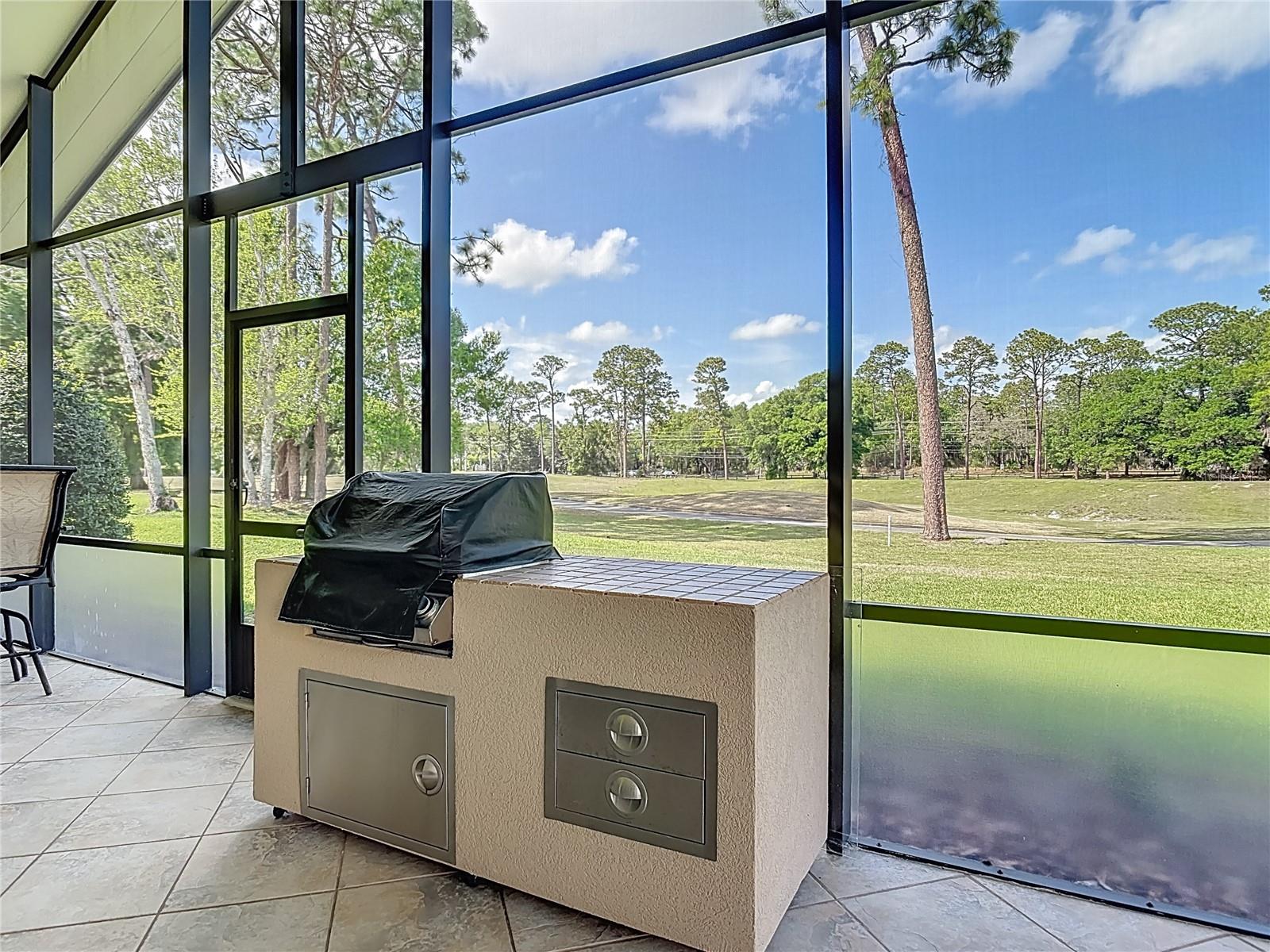 107 CURRY RISE CT, DELAND, FL, 32724