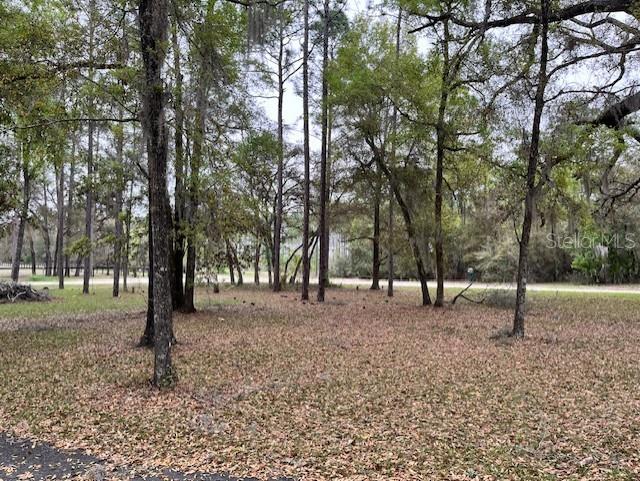 14890 SE 20TH ST, MORRISTON, FL, 32668