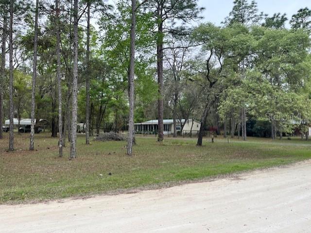 14890 SE 20TH ST, MORRISTON, FL, 32668