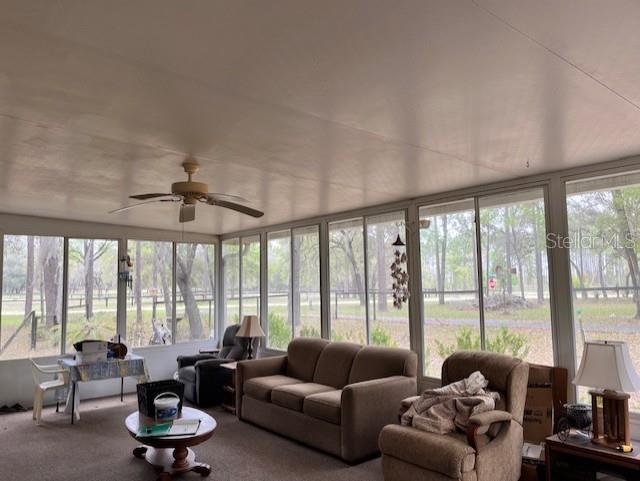 14890 SE 20TH ST, MORRISTON, FL, 32668
