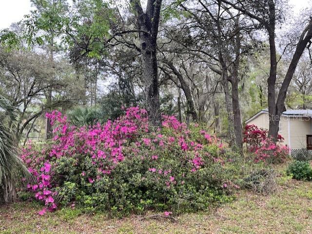 14890 SE 20TH ST, MORRISTON, FL, 32668