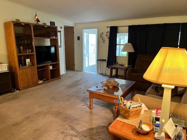 14890 SE 20TH ST, MORRISTON, FL, 32668