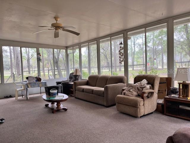 14890 SE 20TH ST, MORRISTON, FL, 32668