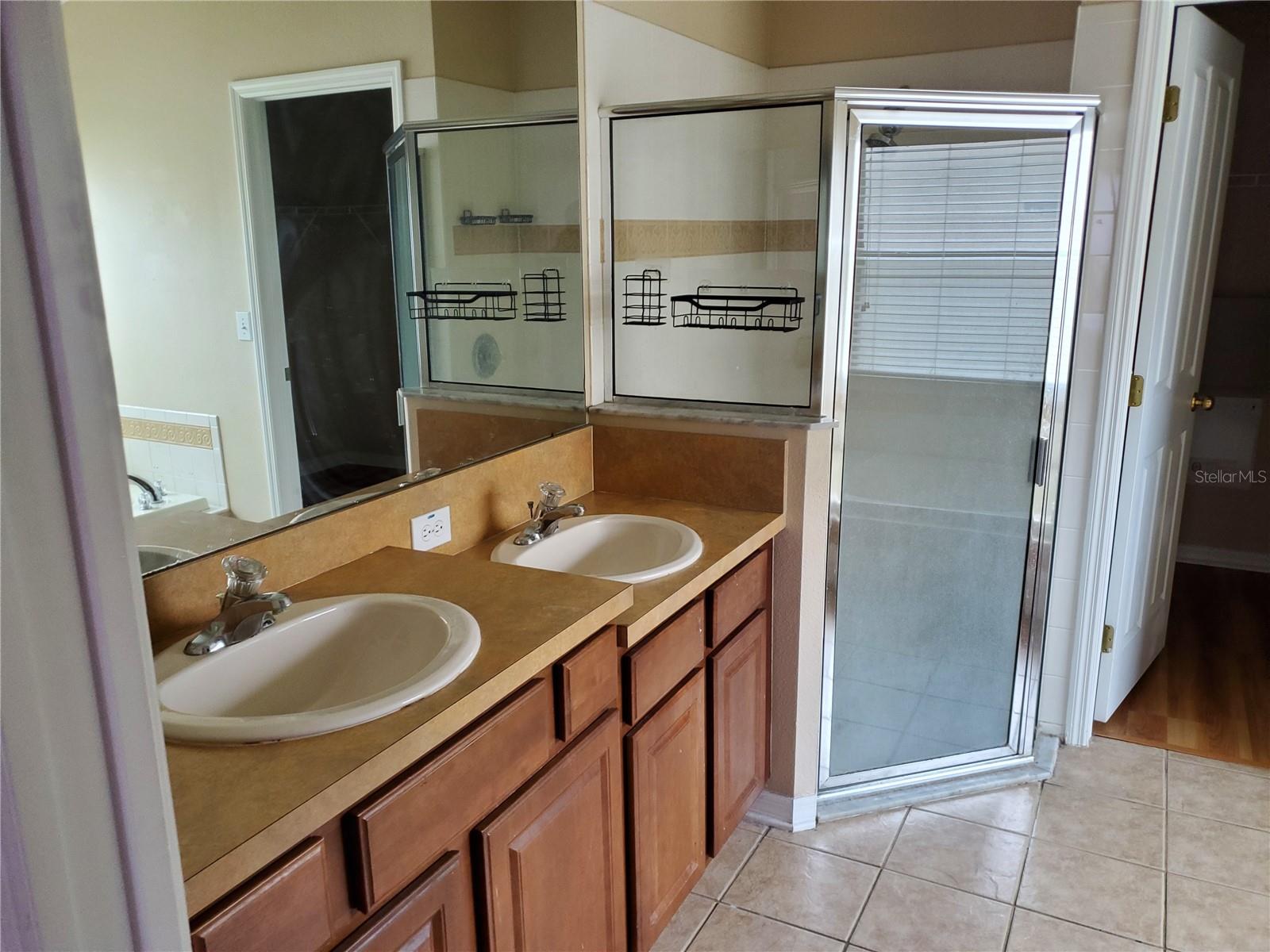 31354 KIRKSHIRE CT, WESLEY CHAPEL, FL, 33543