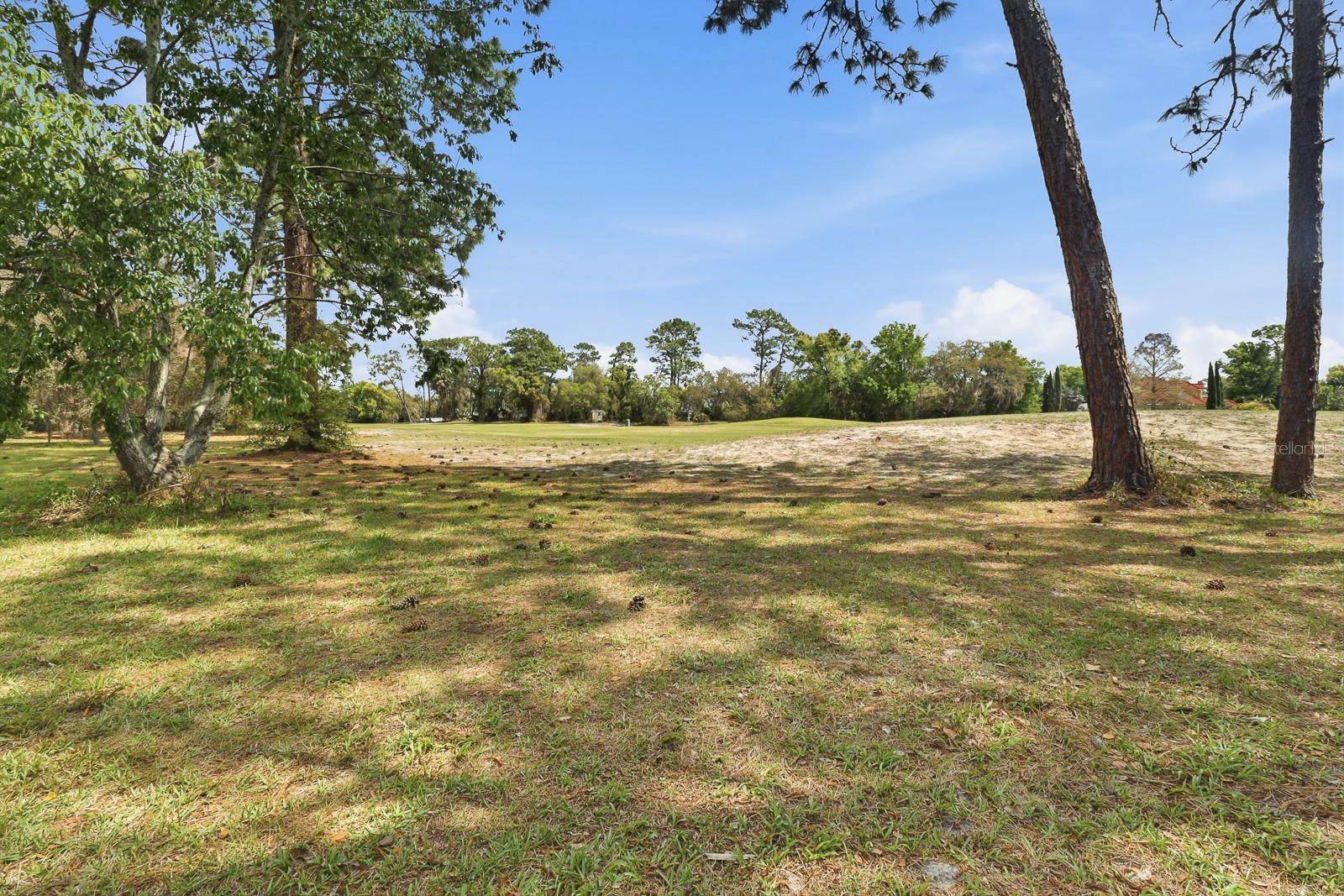 407 GLEN ABBEY LN, DEBARY, FL, 32713