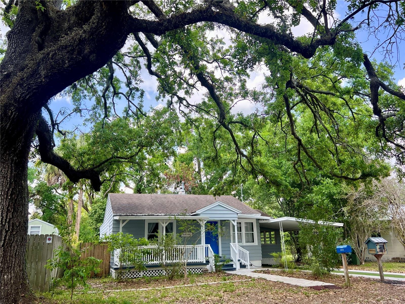 The cutest cottage under the trees