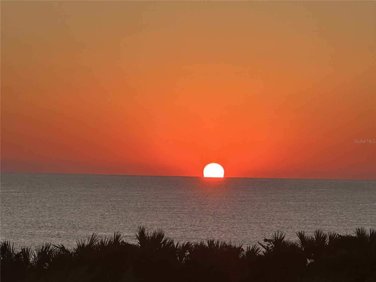 11 AVENUE DE LA MER #1101, PALM COAST, FL, 32137
