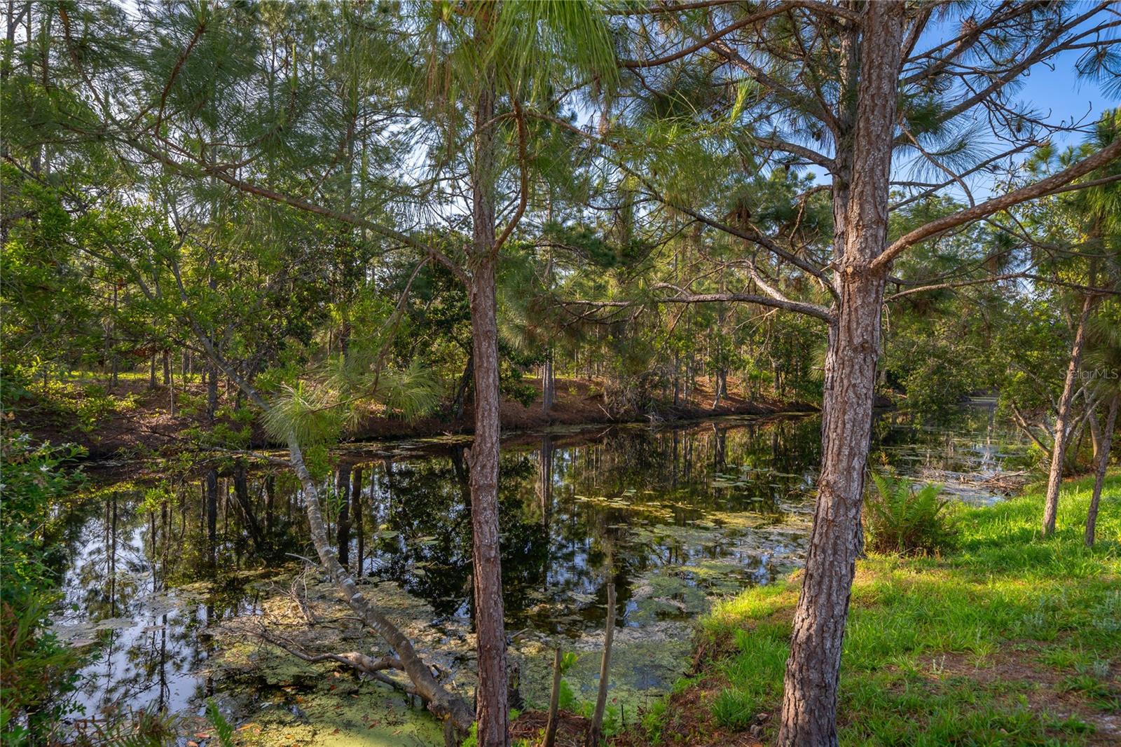 6708 ALDER RD, HARMONY, FL, 34773