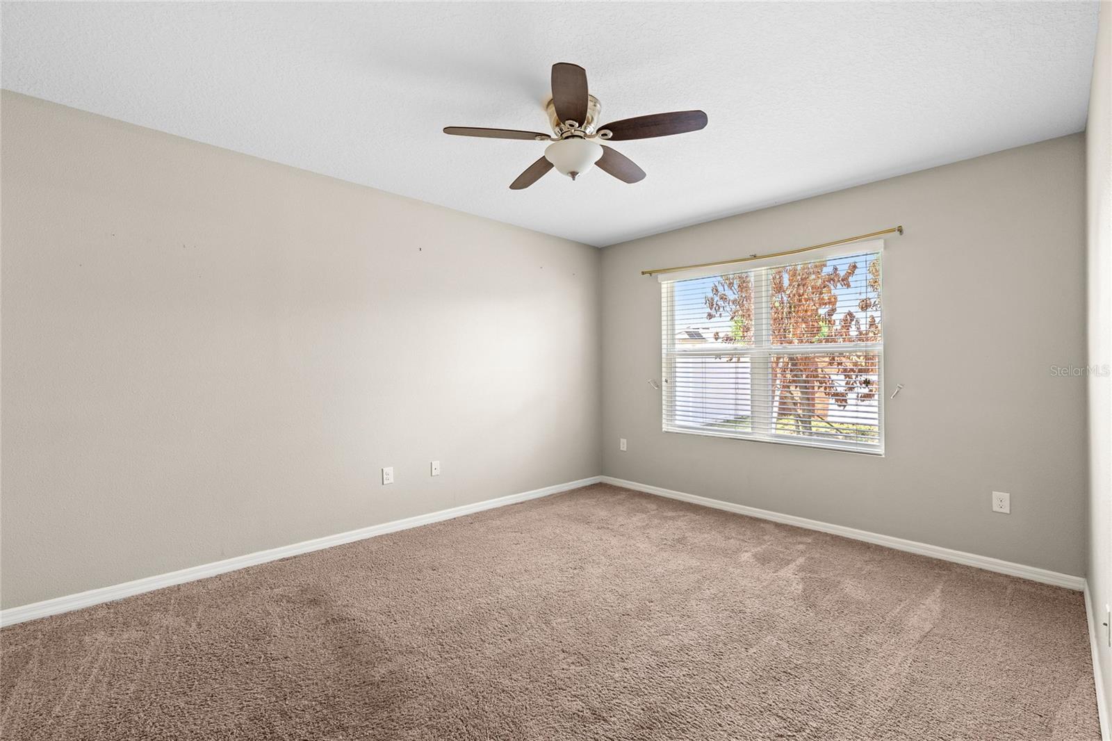 16141 YELLOWEYED DR, CLERMONT, FL, 34714