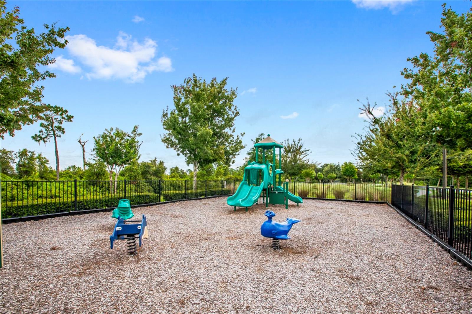 16141 YELLOWEYED DR, CLERMONT, FL, 34714