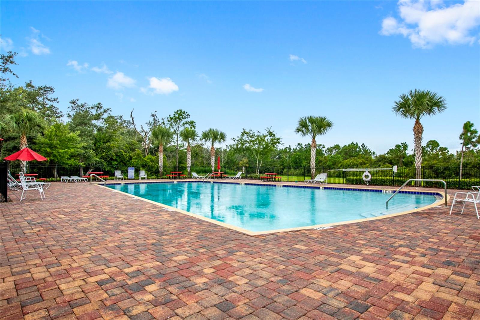 16141 YELLOWEYED DR, CLERMONT, FL, 34714