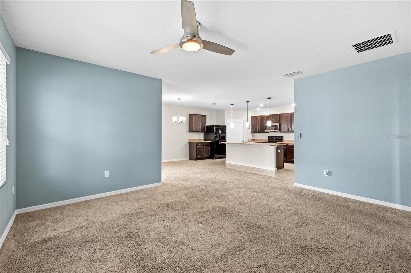 16141 YELLOWEYED DR, CLERMONT, FL, 34714