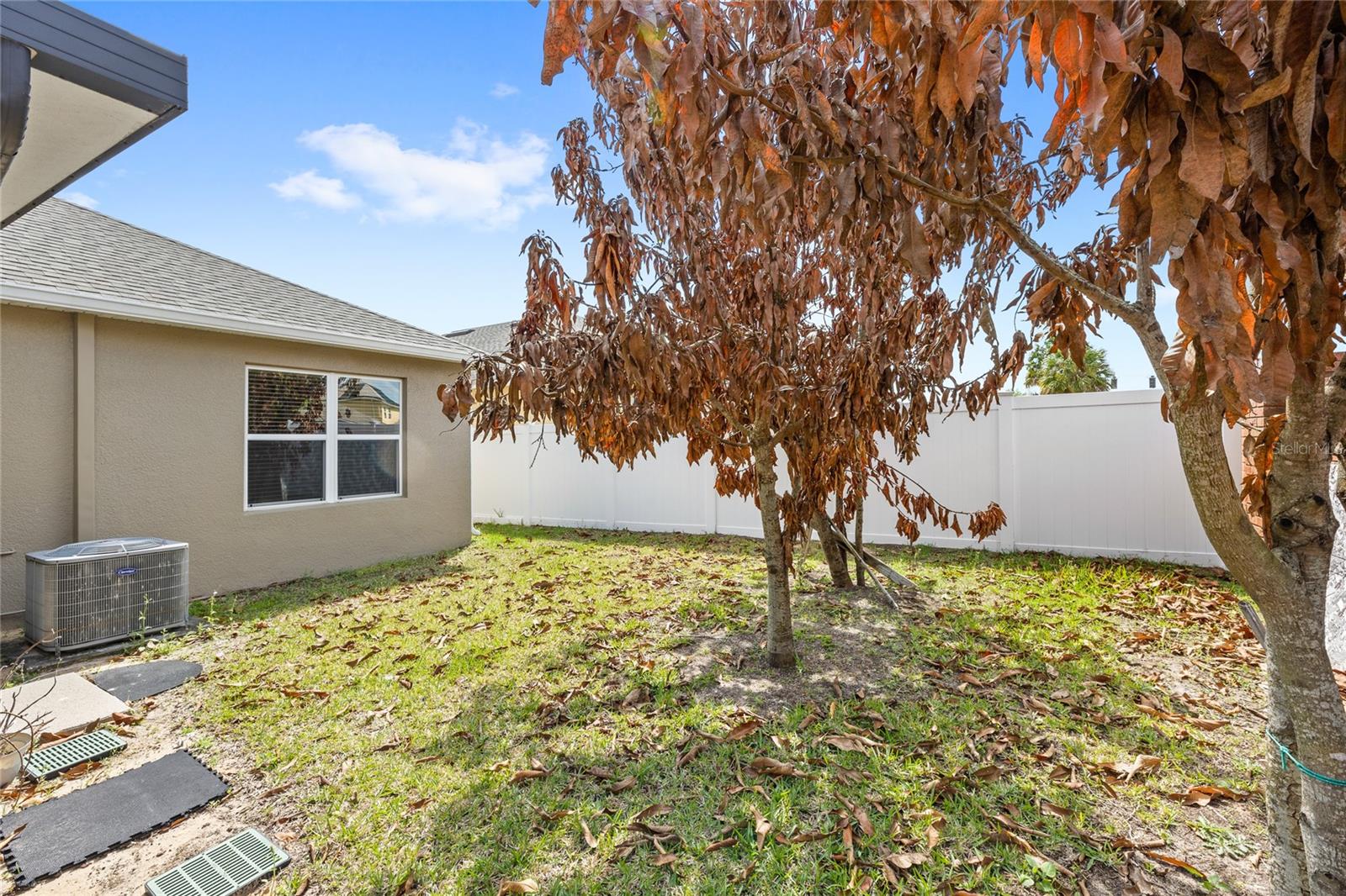 16141 YELLOWEYED DR, CLERMONT, FL, 34714