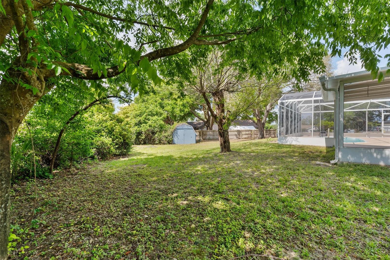 12130 NEST CT, GRAND ISLAND, FL, 32735