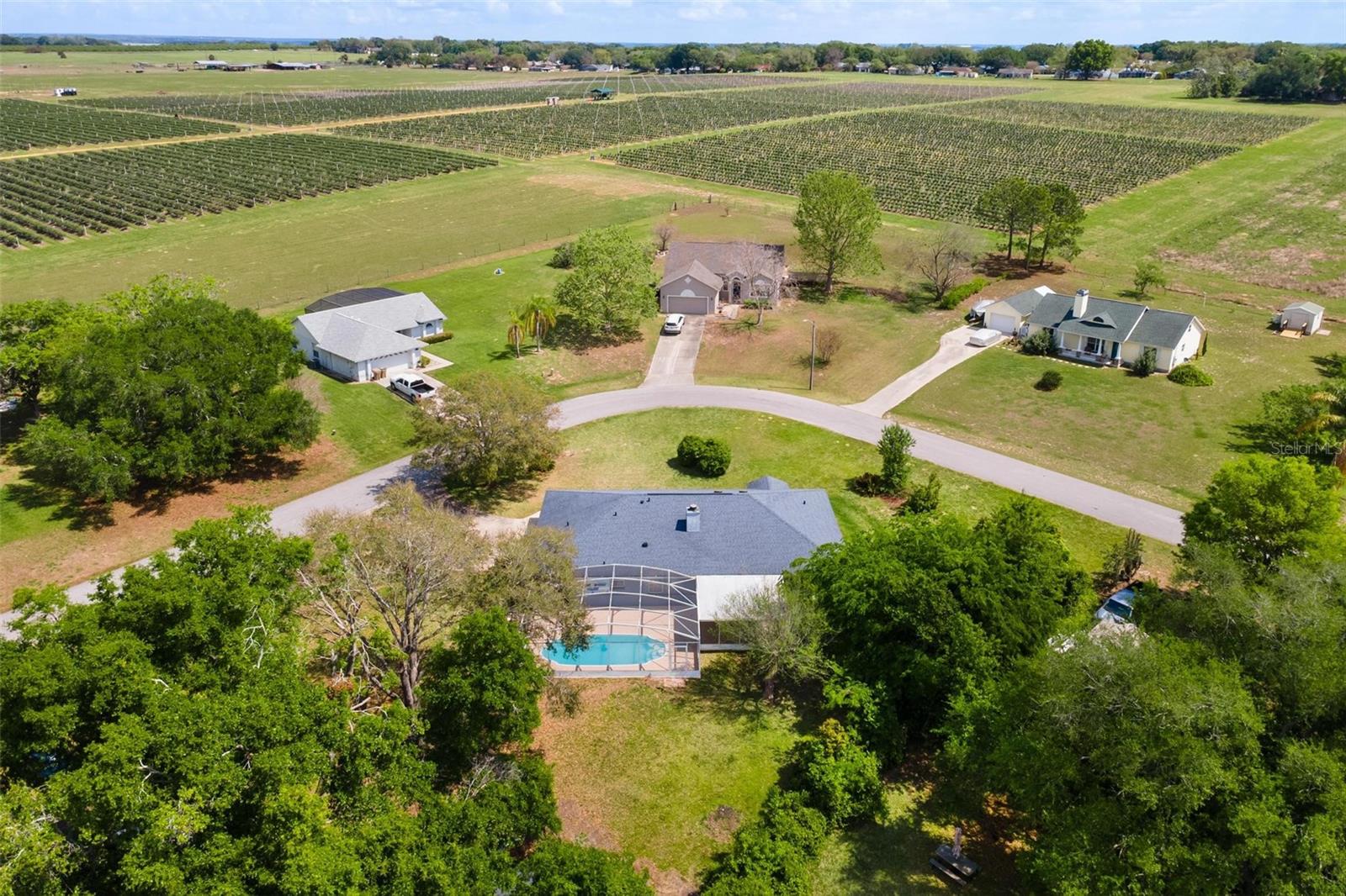 12130 NEST CT, GRAND ISLAND, FL, 32735