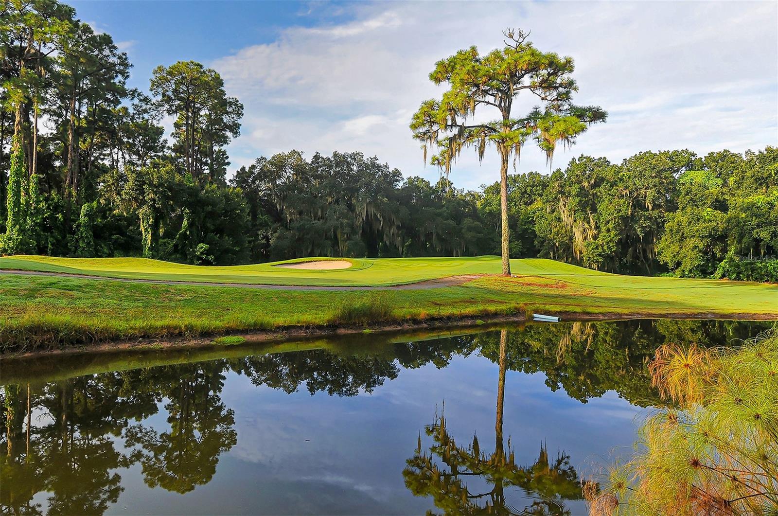 4831 GREENCROFT RD, SARASOTA, FL, 34235