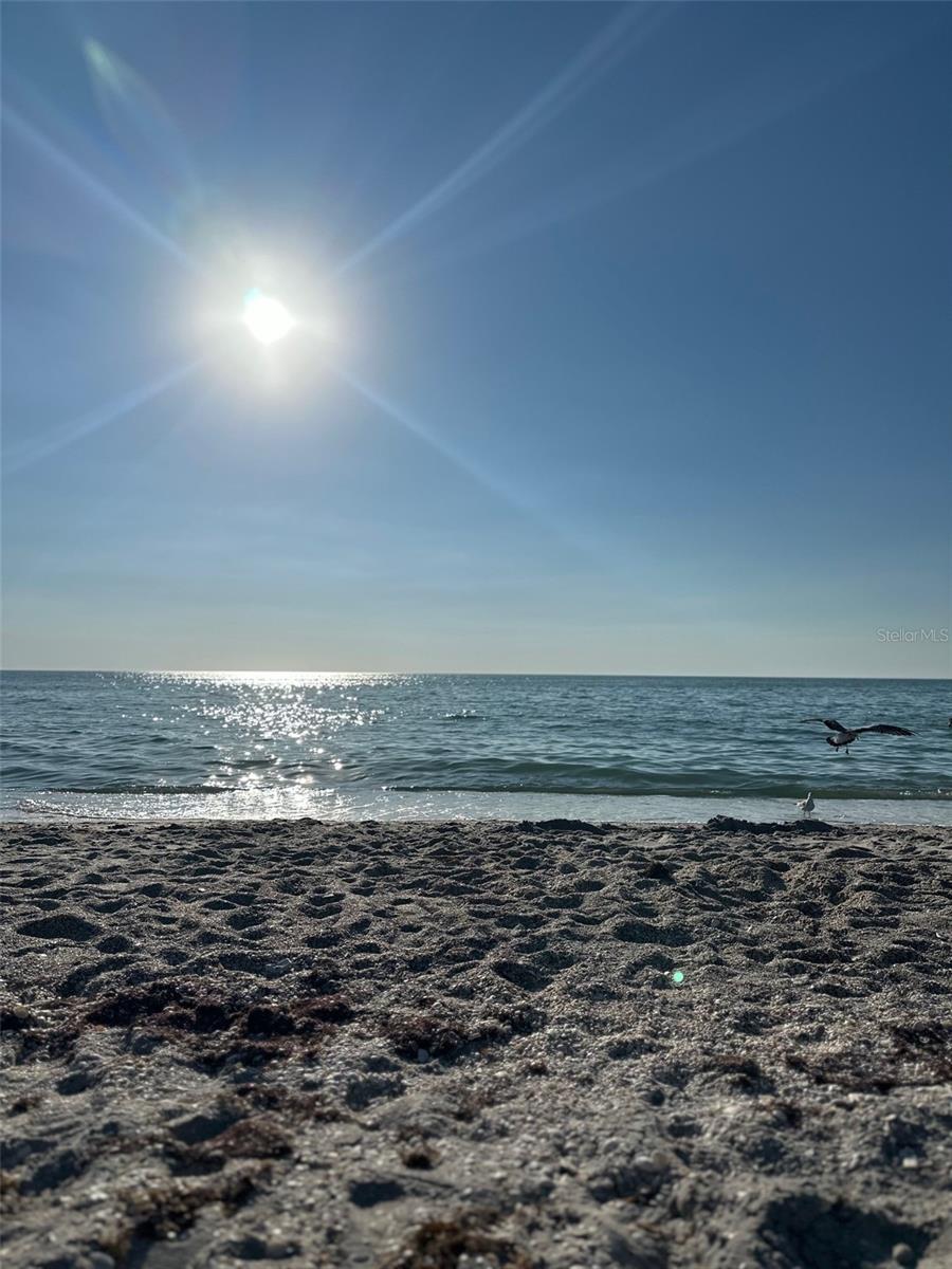 1045 CUMBERLAND RD, VENICE, FL, 34293