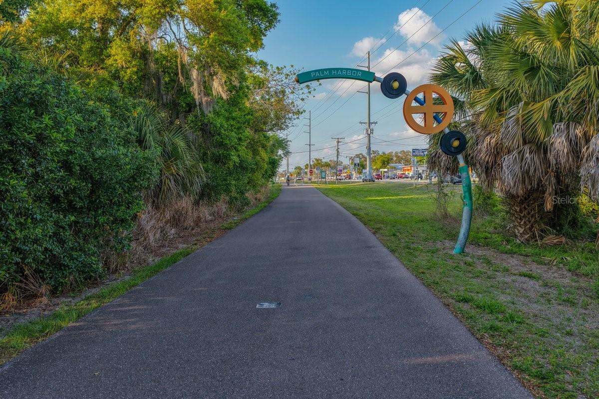 220 19TH ST, PALM HARBOR, FL, 34683