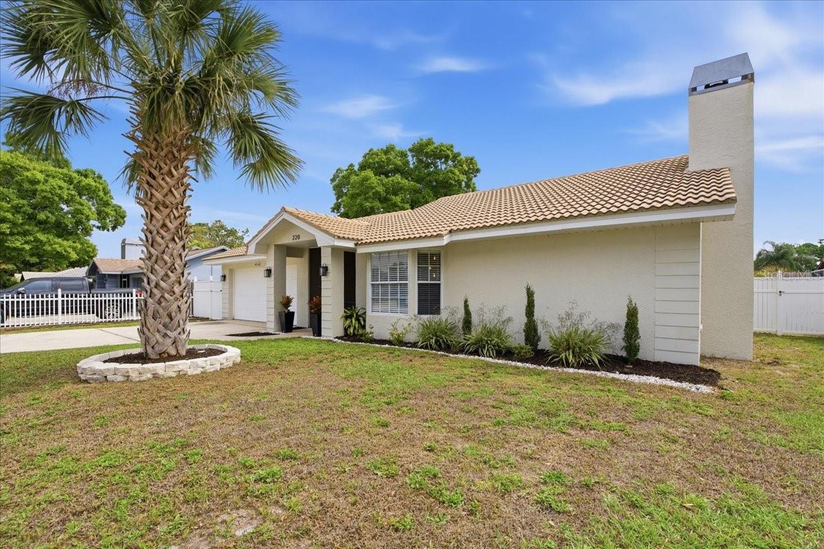 220 19TH ST, PALM HARBOR, FL, 34683