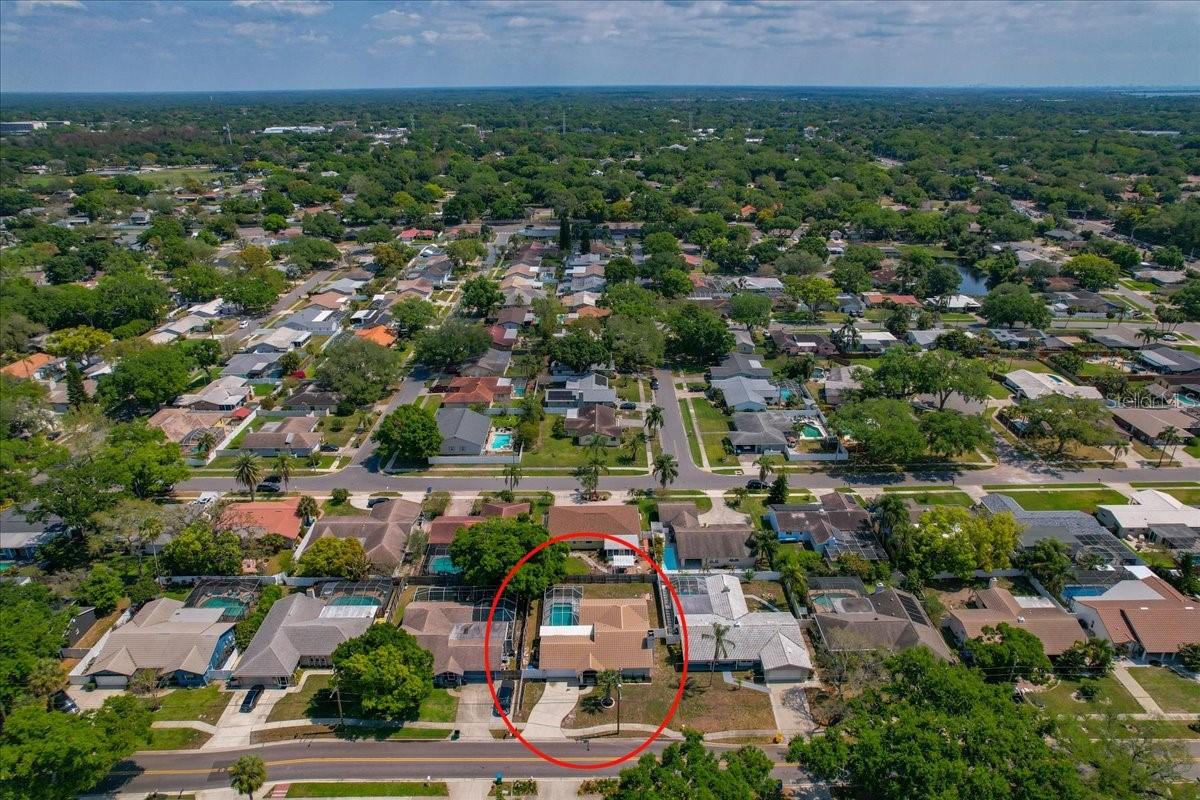 220 19TH ST, PALM HARBOR, FL, 34683