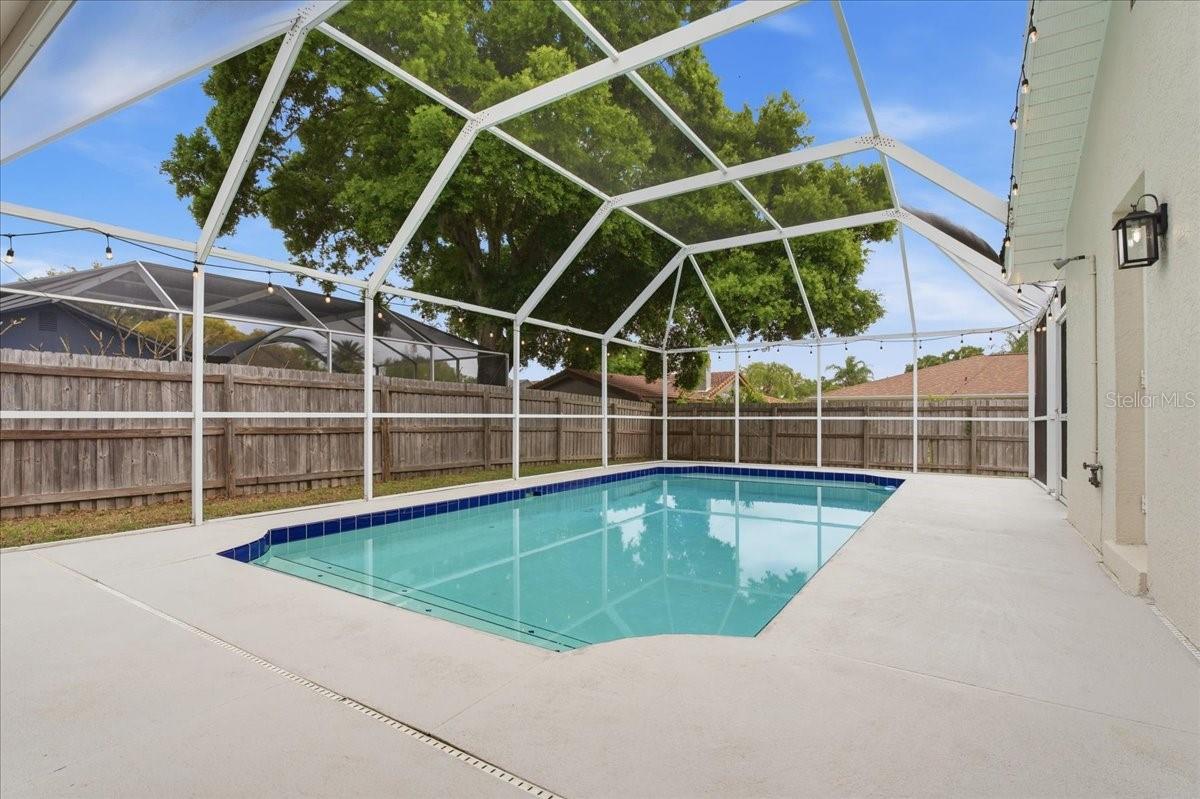 220 19TH ST, PALM HARBOR, FL, 34683
