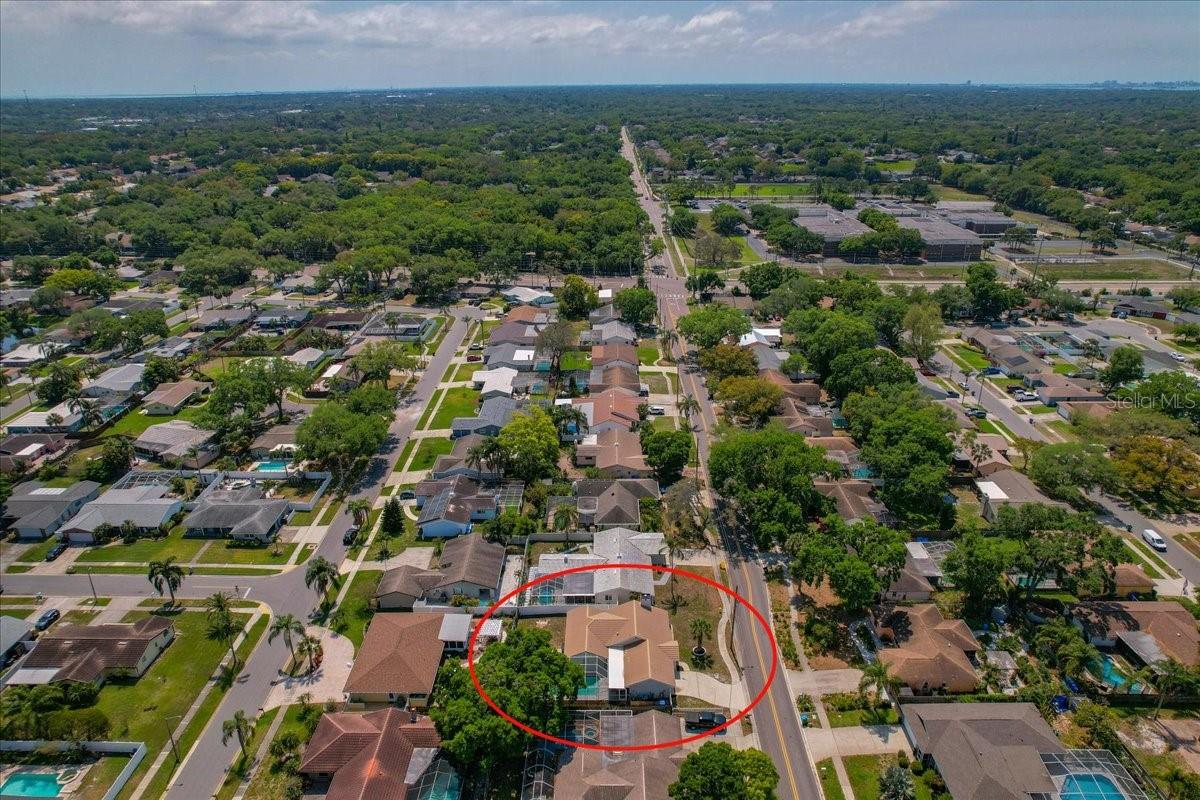 220 19TH ST, PALM HARBOR, FL, 34683