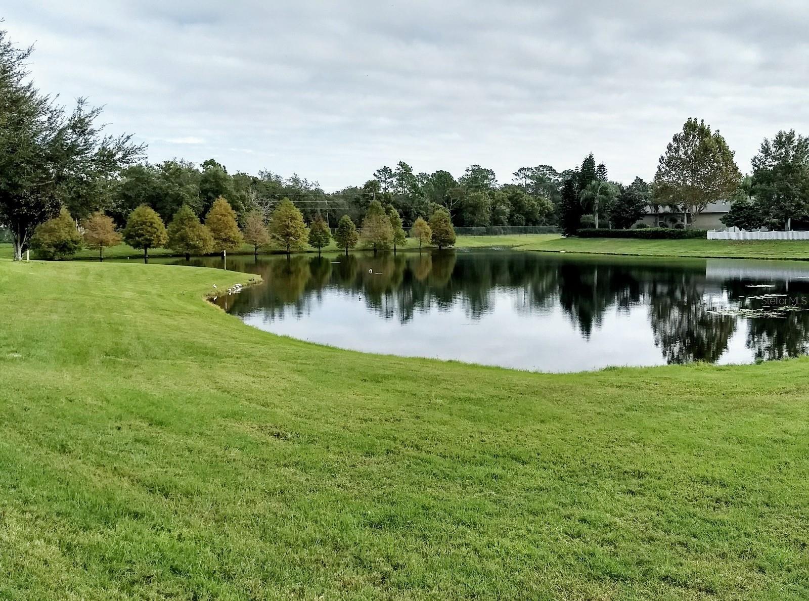 5373 RED LEAF CT, OVIEDO, FL, 32765