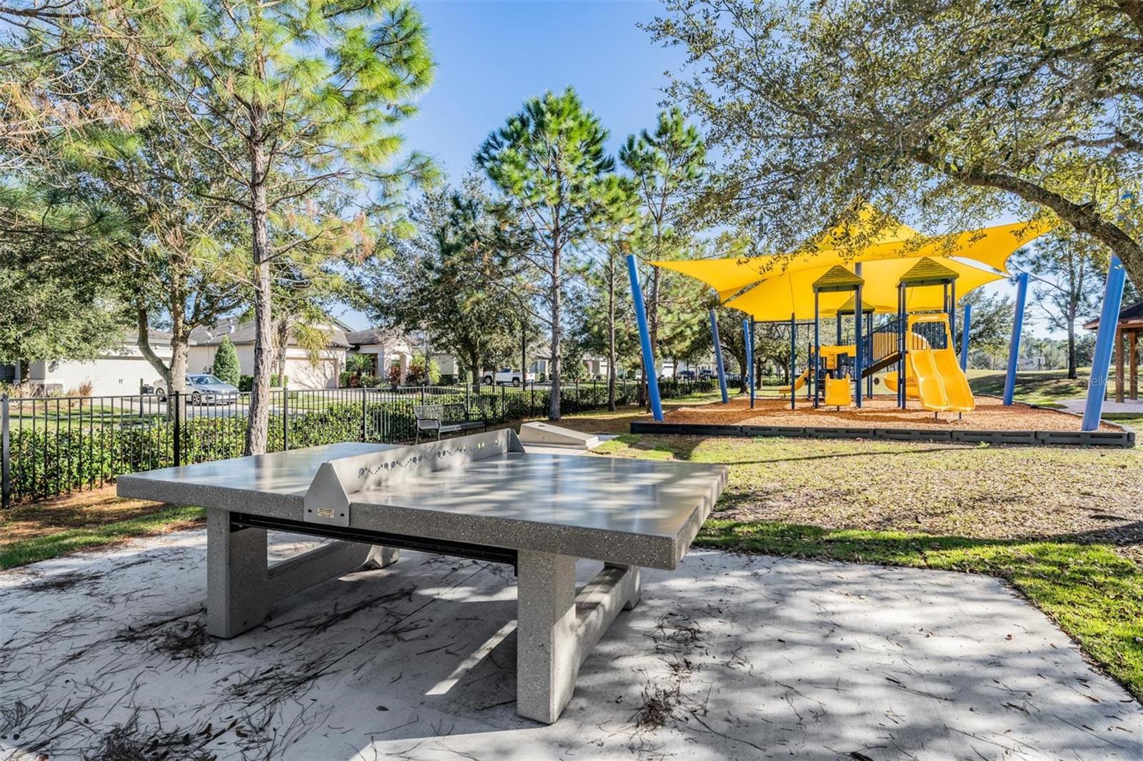 9661 ASHWORTH PL, LAND O LAKES, FL, 34637