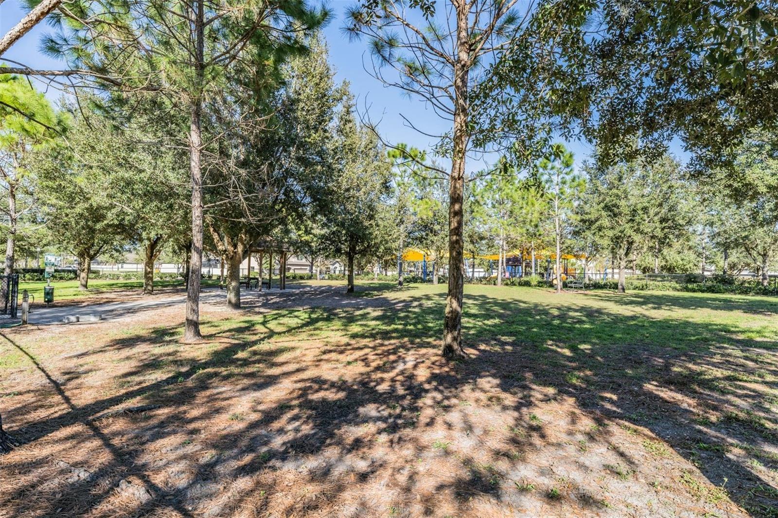 9661 ASHWORTH PL, LAND O LAKES, FL, 34637