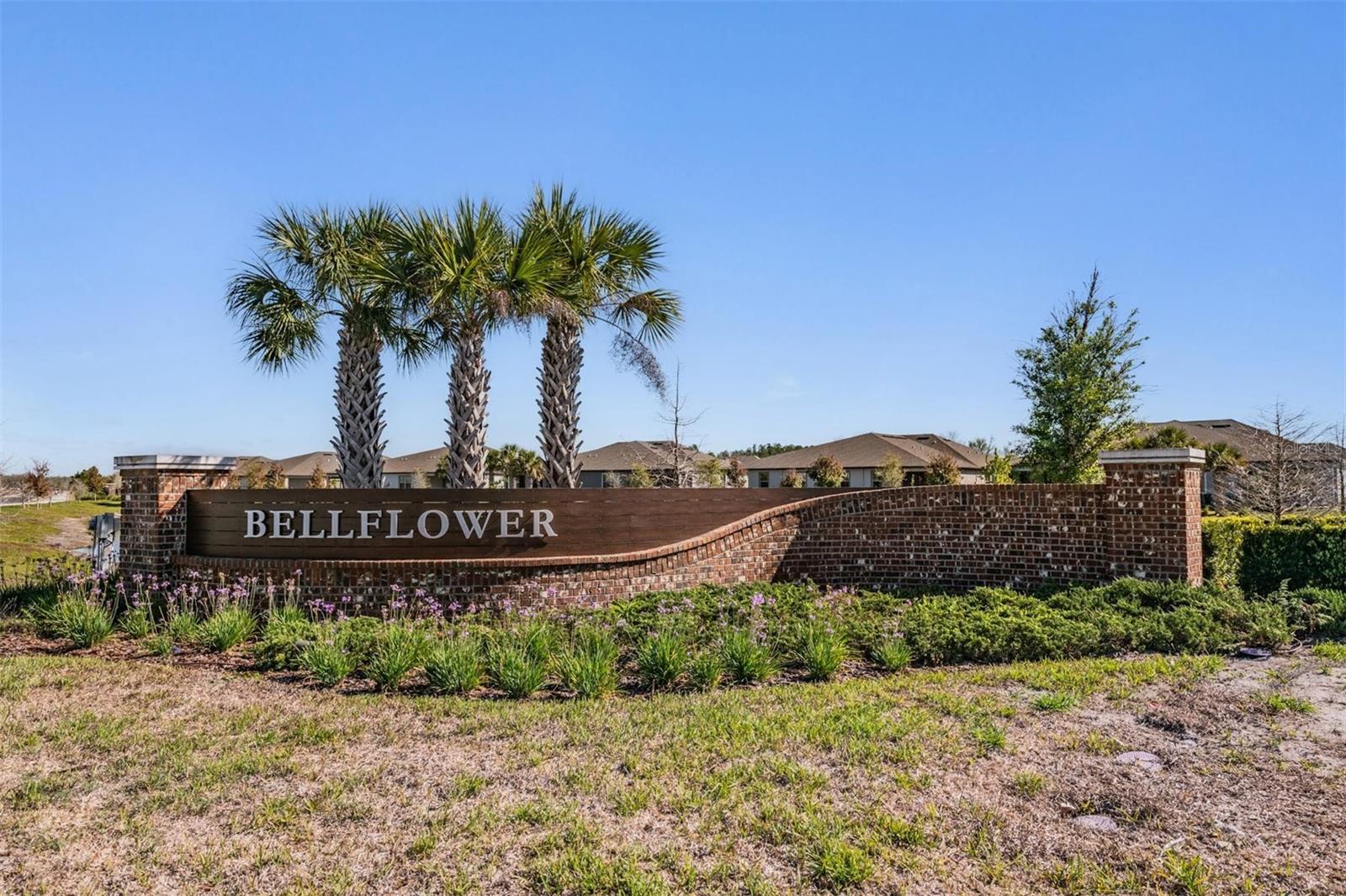 9661 ASHWORTH PL, LAND O LAKES, FL, 34637