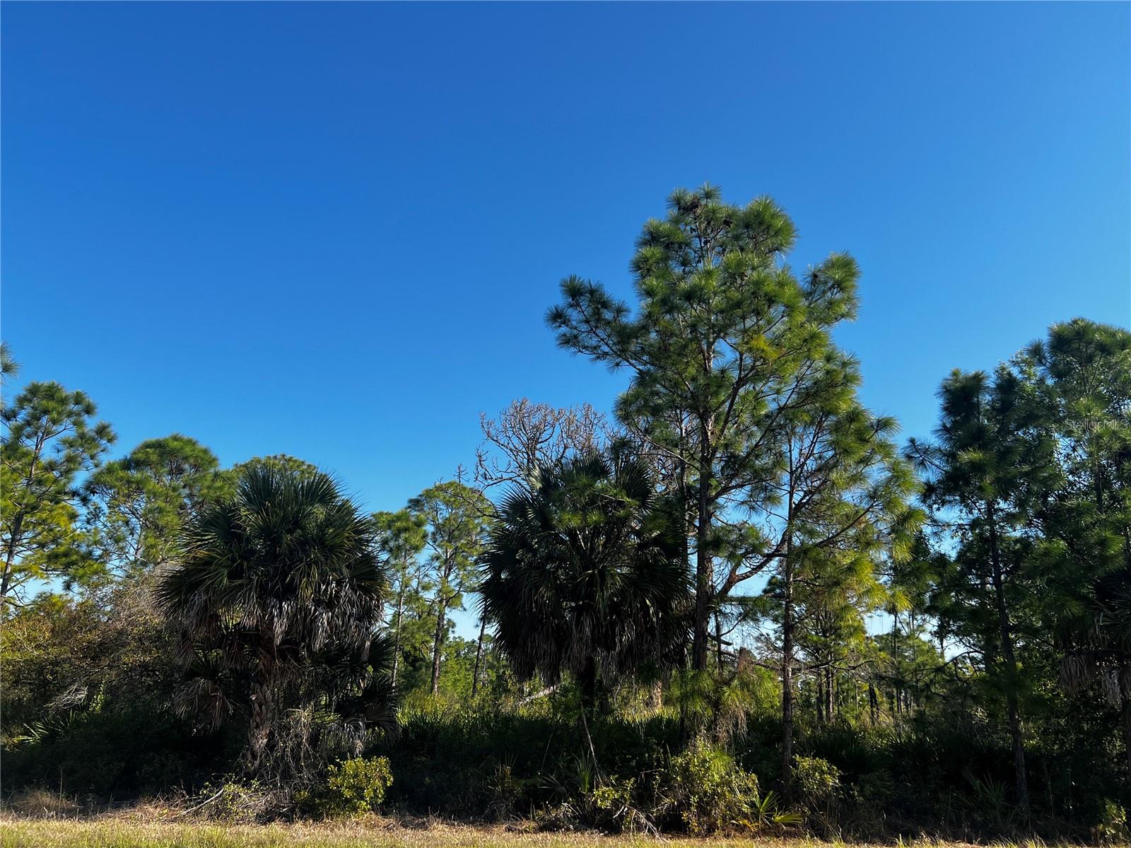 13526 SURIBACHI AVE, PORT CHARLOTTE, FL, 33953