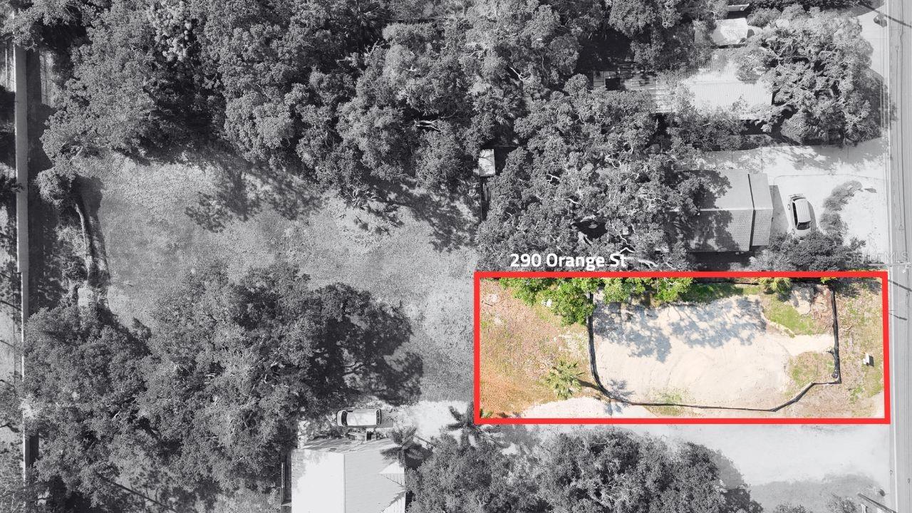 290 ORANGE ST, PALM HARBOR, FL, 34683
