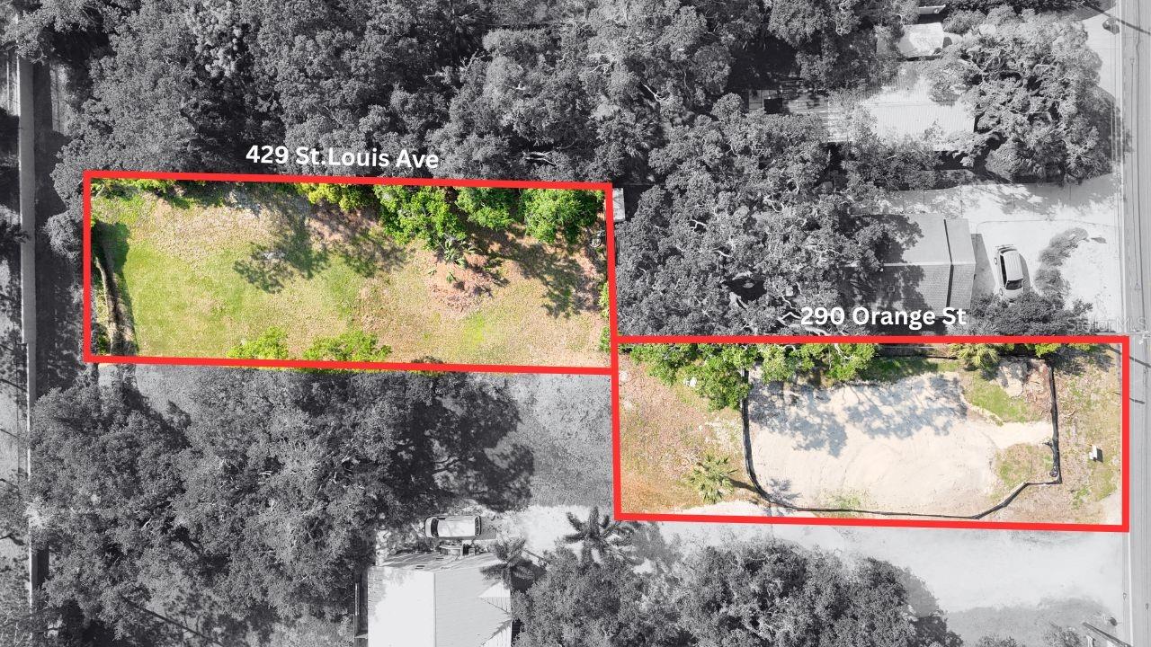 290 ORANGE ST, PALM HARBOR, FL, 34683