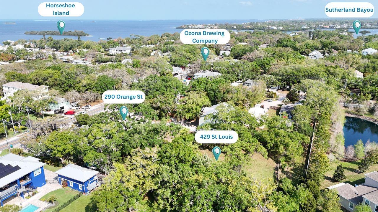 290 ORANGE ST, PALM HARBOR, FL, 34683