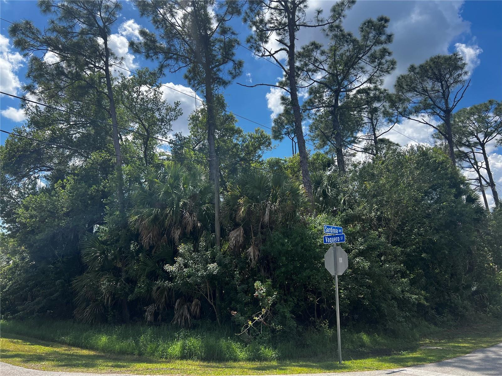SARDINIA AVE, NORTH PORT, FL, 34286