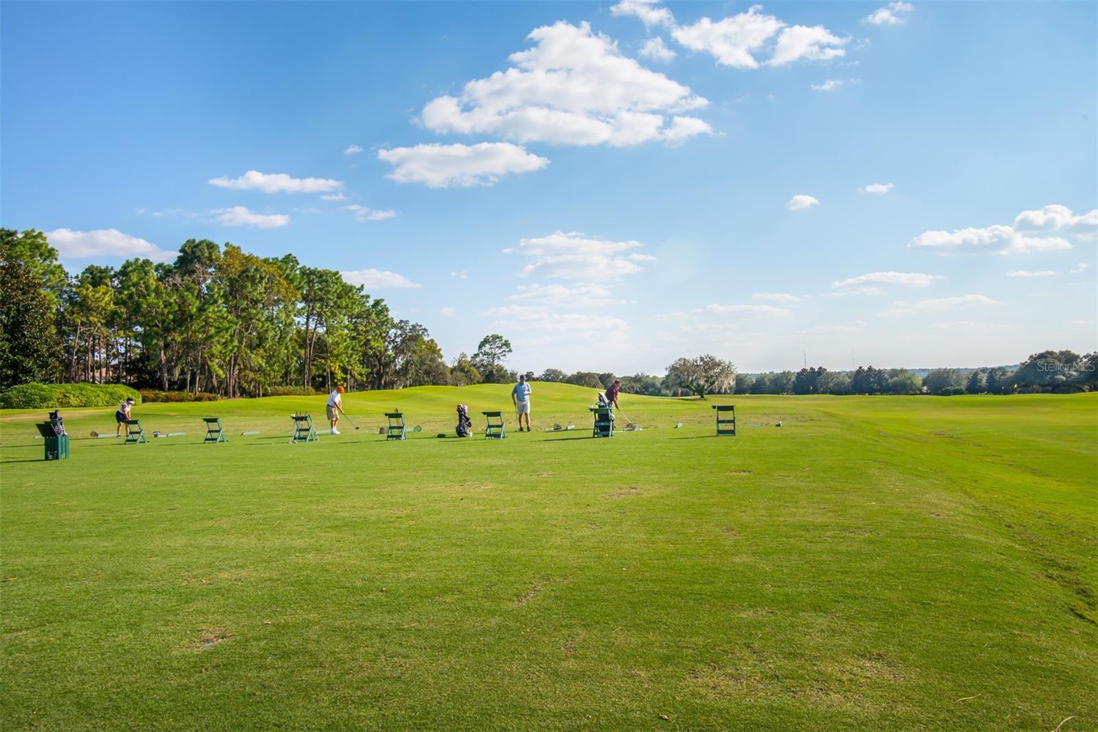 1707 W SPRING MEADOW LOOP, LECANTO, FL, 34461