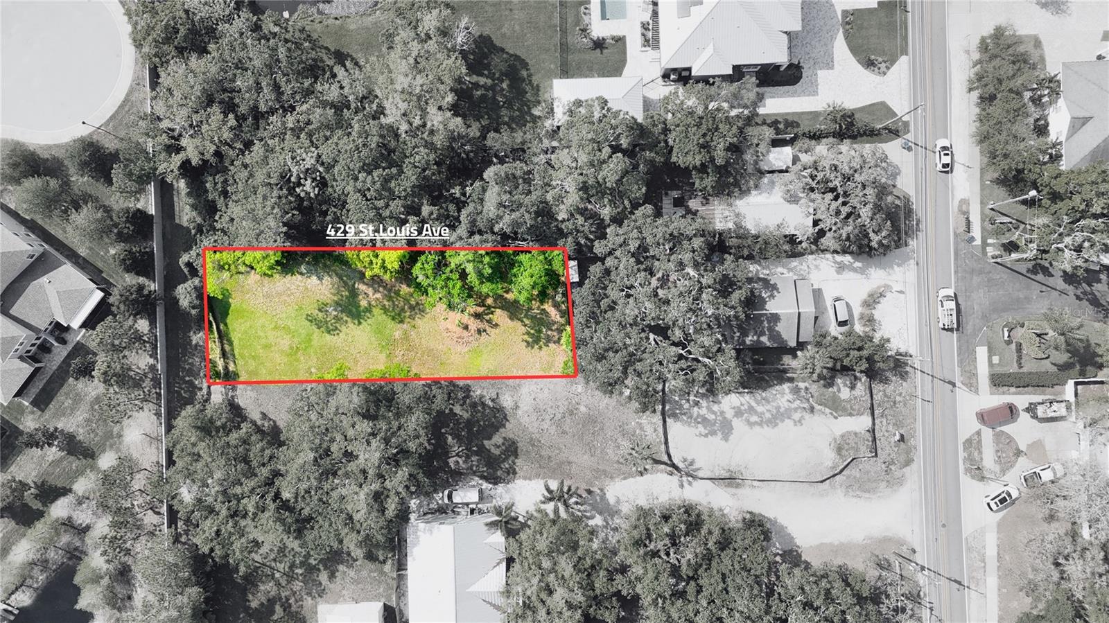 429 ST LOUIS AVE, PALM HARBOR, FL, 34683