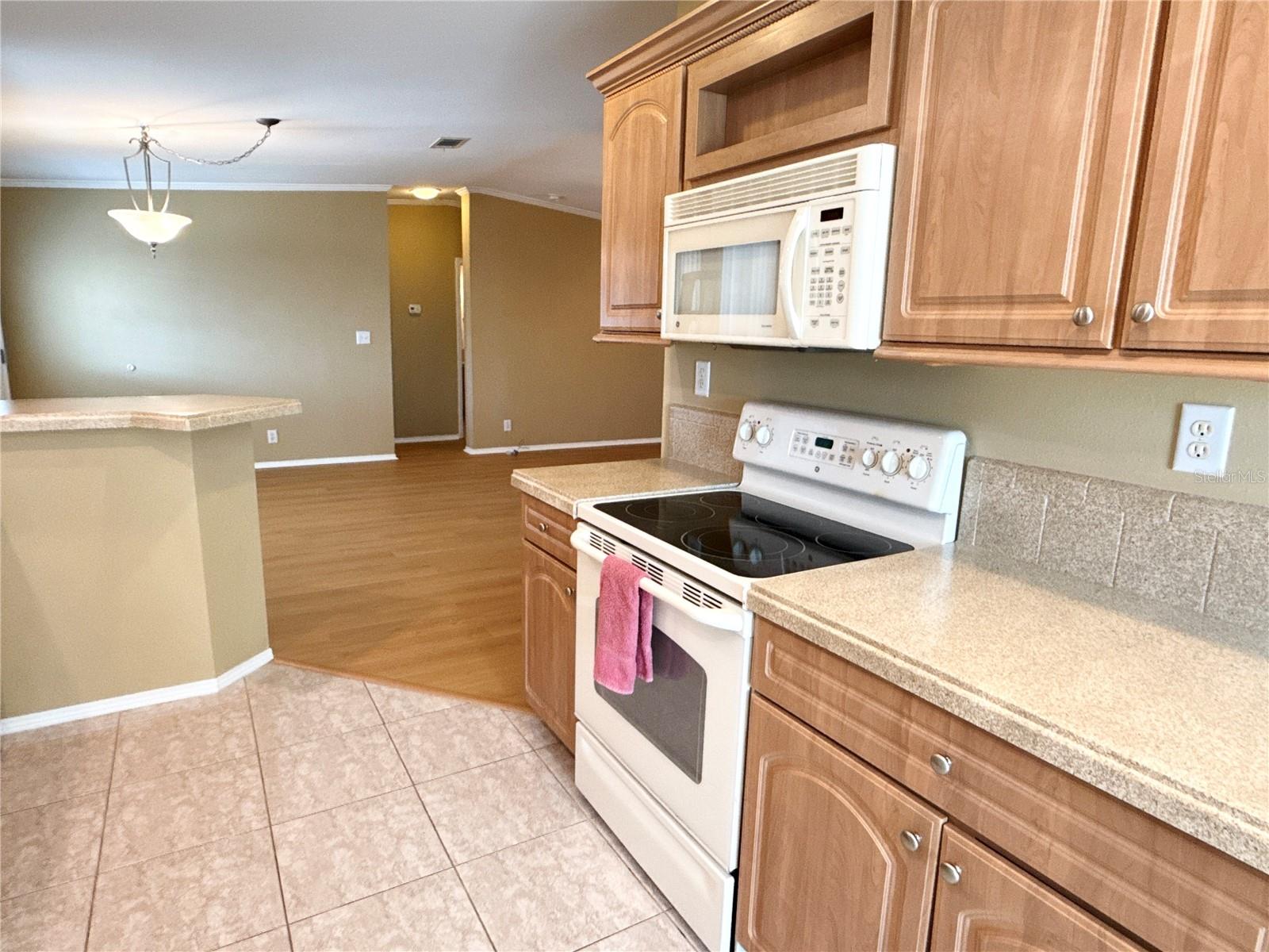 6817 MOUNT PLEASANT RD NE #49, ST PETERSBURG, FL, 33702