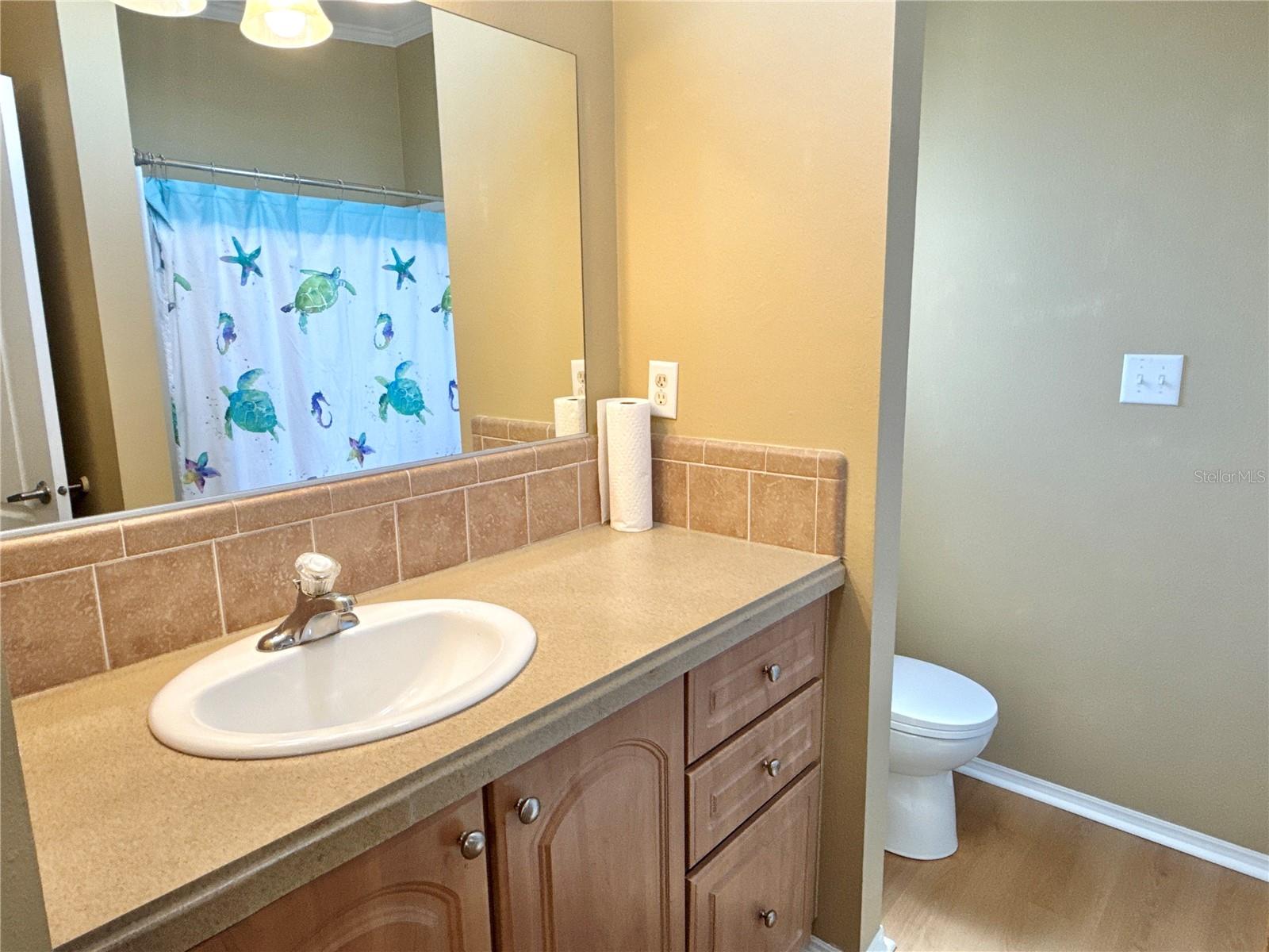6817 MOUNT PLEASANT RD NE #49, ST PETERSBURG, FL, 33702