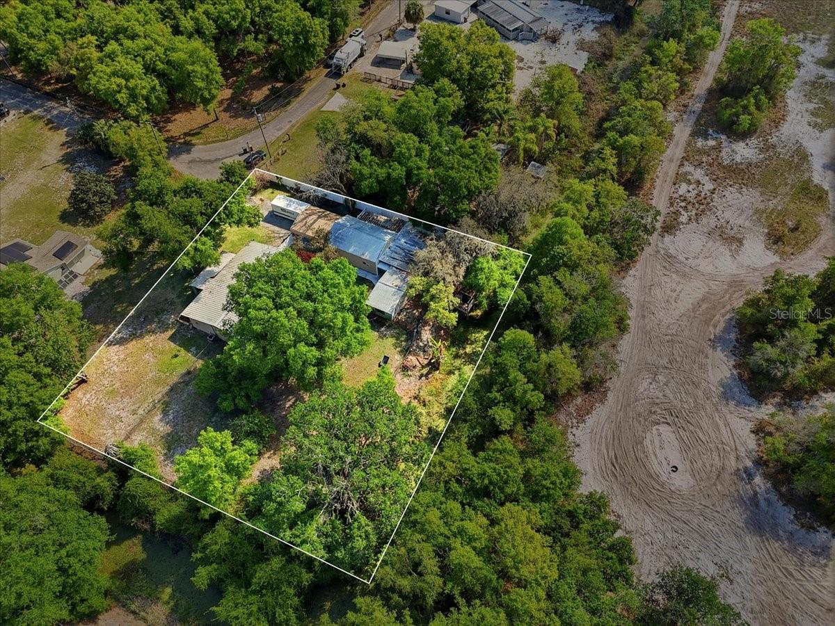 1240 ALLIGATOR ALY, HAINES CITY, FL, 33844