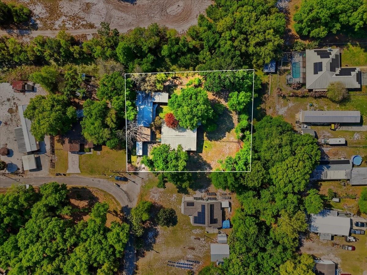 1240 ALLIGATOR ALY, HAINES CITY, FL, 33844