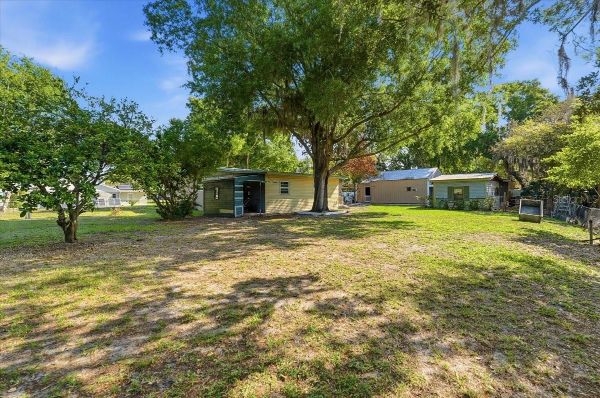 1240 ALLIGATOR ALY, HAINES CITY, FL, 33844