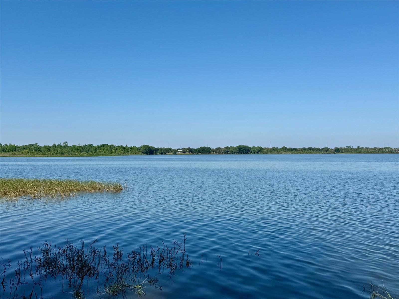 1240 ALLIGATOR ALY, HAINES CITY, FL, 33844