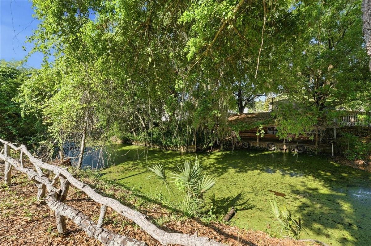 1240 ALLIGATOR ALY, HAINES CITY, FL, 33844