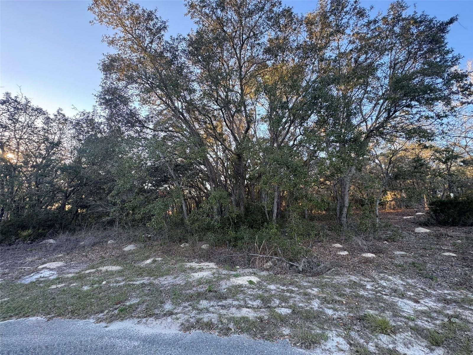 0 SW 147TH STREET RD, OCALA, FL, 34473