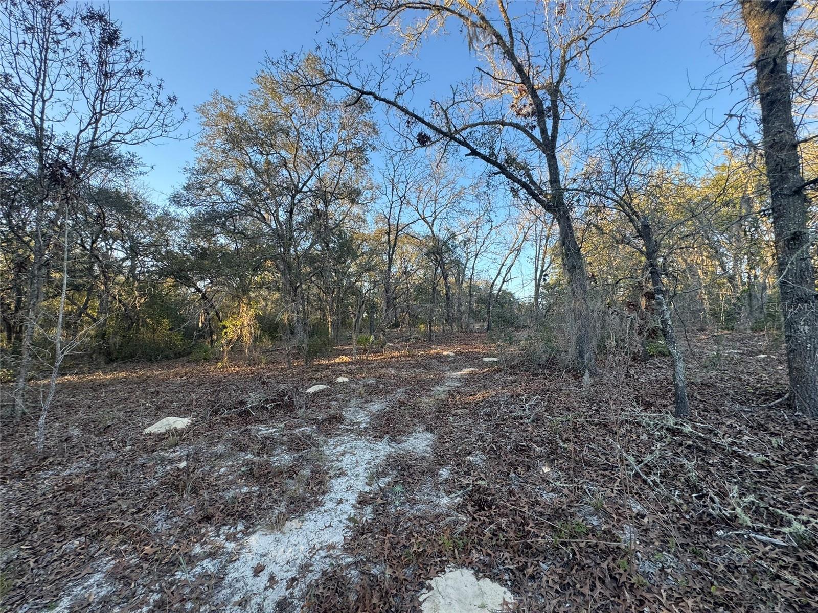 0 SW 147TH STREET RD, OCALA, FL, 34473