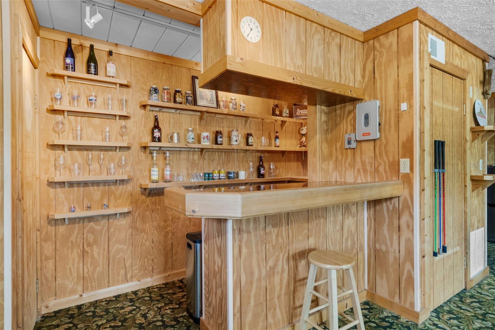 2921 LAKE TOHOPEKALIGA BLVD, KISSIMMEE, FL, 34746