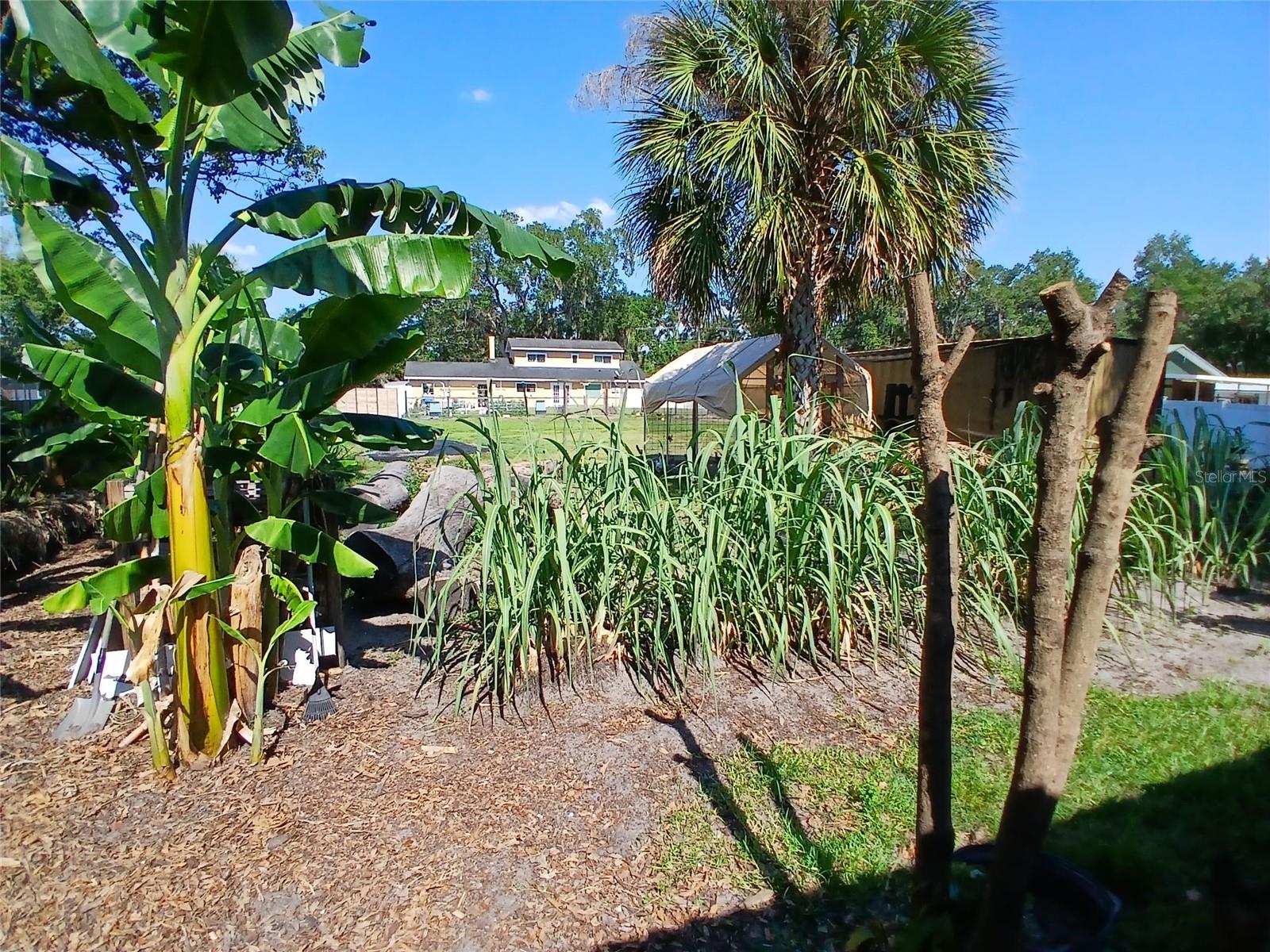 2211 NEW JERSEY RD, LAKELAND, FL, 33803