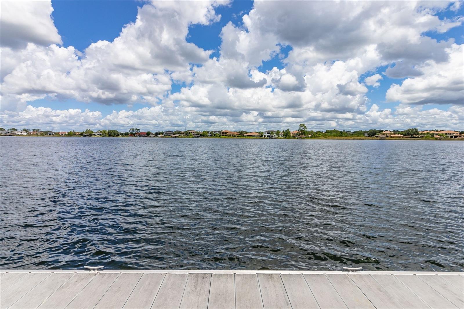 8351 BOWDEN WAY, WINDERMERE, FL, 34786